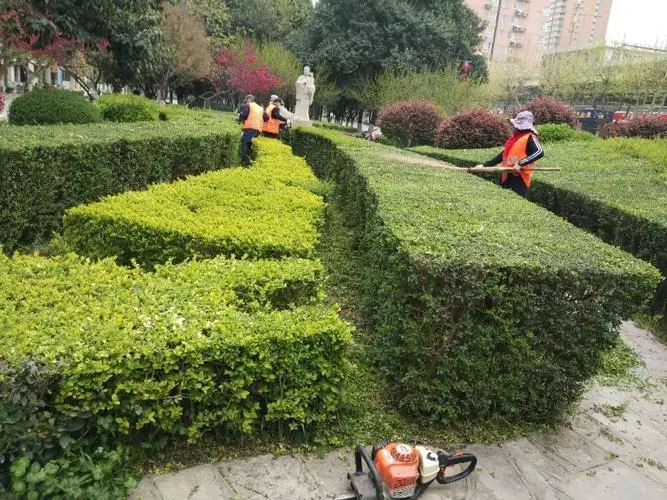 米乐：篮球干扰投篮器材